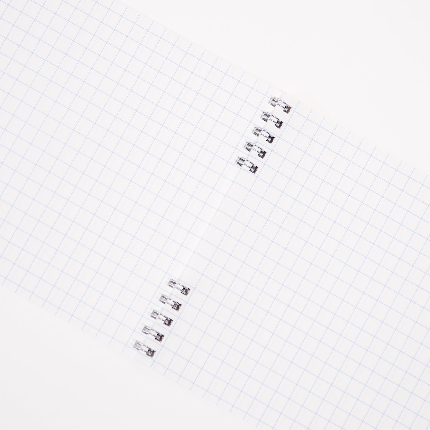 THE KIDS GRIDDED NOTEBOOK